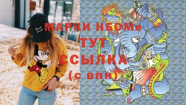 индика Одинцово