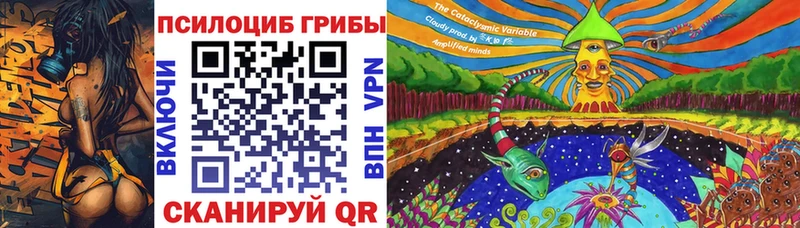 купить наркотик  Кораблино  Псилоцибиновые грибы Psilocybine cubensis 